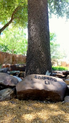 ShipengMemorialTree01