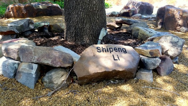 ShipengMemorialTree02